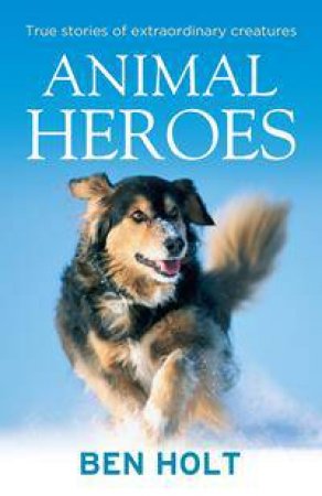 Animal Heroes by Ben Holt