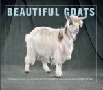Beautiful Goats