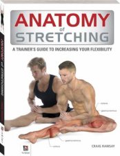 Anatomy Of Stretching