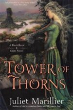 Tower Of Thorns