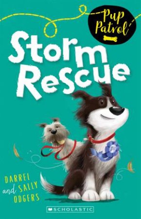 Storm Rescue by Darrel Odgers