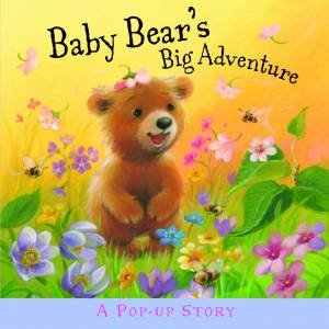 Baby Bear's Big Adventure
