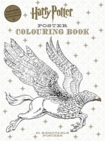 Harry Potter Poster Colouring Book by Various