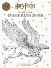 Harry Potter Poster Colouring Book