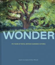 Wonder