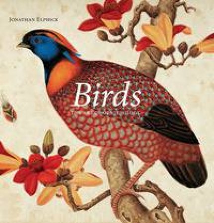 Birds by Jonathan Elphick