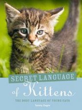 The Secret Language Of Kittens The Body Language Of Young Cats