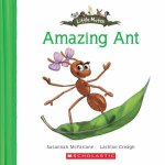 Amazing Ant