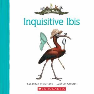Inquisitive Ibis by Susannah McFarlane