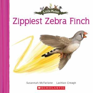 Zippy Zebra Finch by Susannah McFarlane