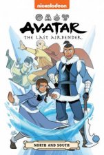 Avatar The Last Airbender North And South