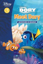 Disney Learning Finding Dory Meet Dory Adventures in Reading Level 1