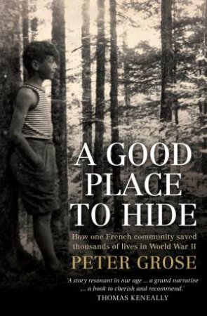 A Good Place To Hide by Peter Grose