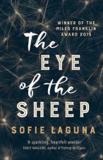 The Eye of the Sheep