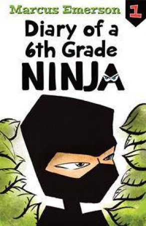 Diary Of A 6th Grade Ninja