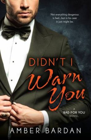 Didn't I Warn You by Amber Bardan