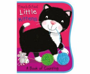 Touch & Feel: A Book Of Counting: Little Kitten