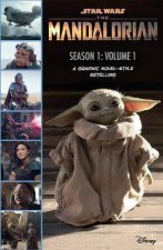 The Mandalorian Season 1 Volume 1