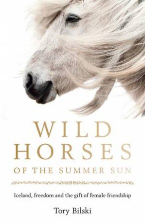 Wild Horses Of The Summer Sun by Various