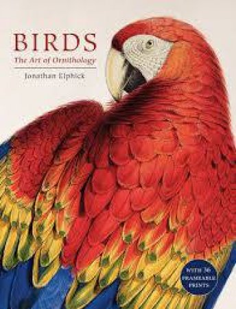 Birds by Jonathan Elphick