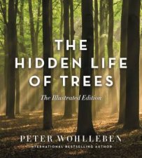 The Hidden Life Of Trees Illustrated Edition