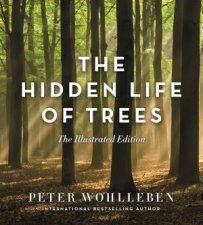 The Hidden Life Of Trees Illustrated Edition