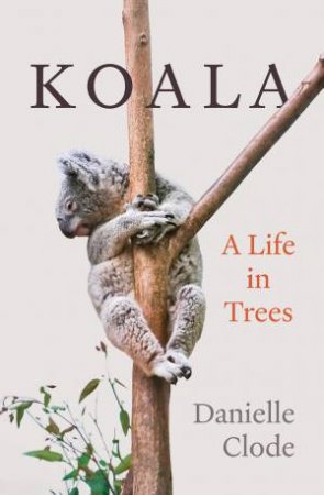 Koala by Danielle Clode