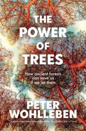 The Power Of Trees by Peter Wohlleben