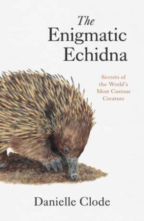 The Enigmatic Echidna by Danielle Clode