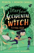 Diary Of An Accidental Witch Flying High