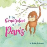 Lost Creatures Little Orangutan Lost In Paris