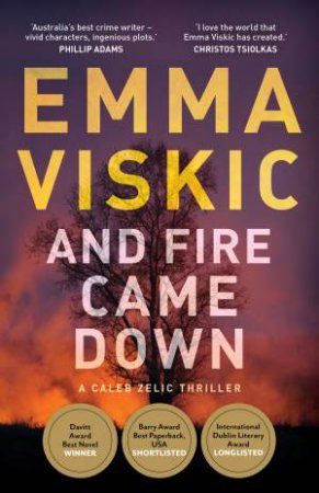 And Fire Came Down by Emma Viskic