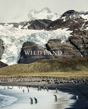 Wild Land by Peter & Beverly Pickford