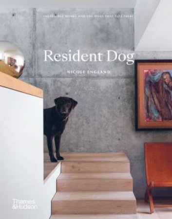 Resident Dog by Nicole England