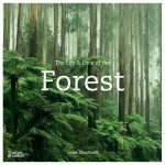 The Life  Love Of The Forest