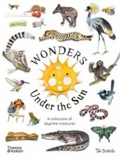Wonders Under The Sun