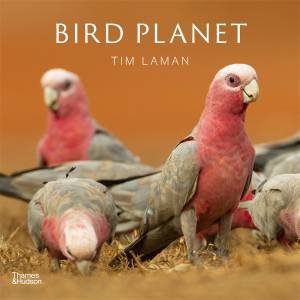 Bird Planet by Tim Laman