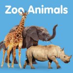 Zoo Animals  Board Book