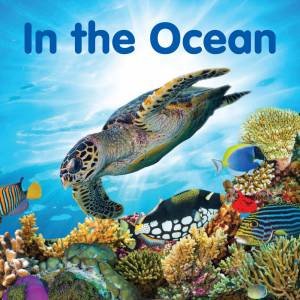In the Ocean-Board Book by Various