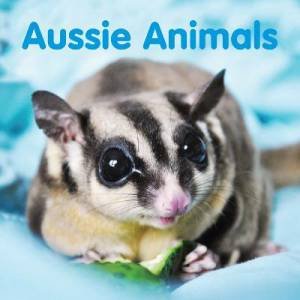Aussie Animals-Board Book by Various