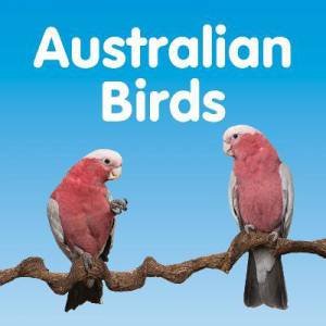 Australian Birds by Various
