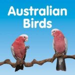 Australian Birds