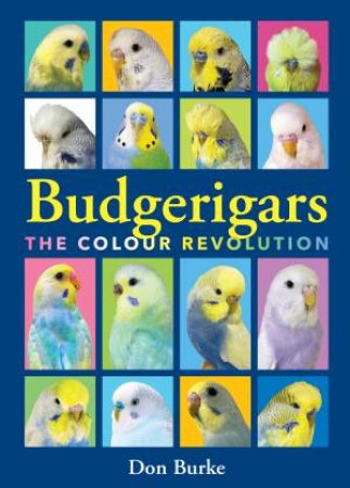 Budgerigars by Don Burke