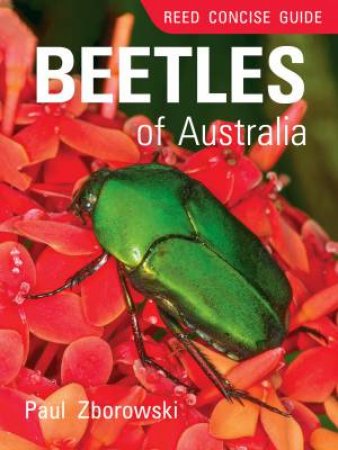 Reed Concise Guide to Beetles of Australia by Paul Zborowski