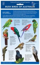 Bush Birds of Australia  ID Chart