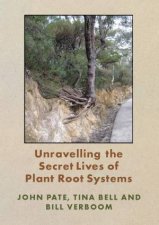 Unravelling The Secret life Of Plant Roots
