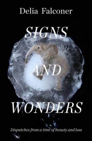 Signs And Wonders by Delia Falconer