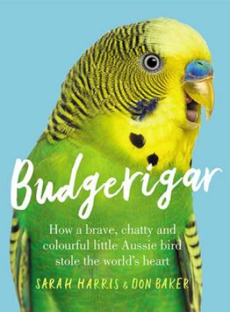 Budgerigar by Sarah Harris & Don Baker