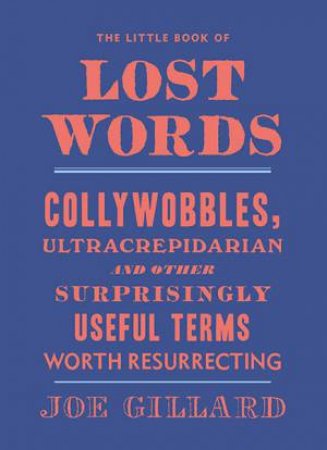The Little Book Of Lost Words by Joe Gillard
