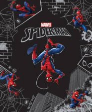 Marvel Legends Collection Spider Man